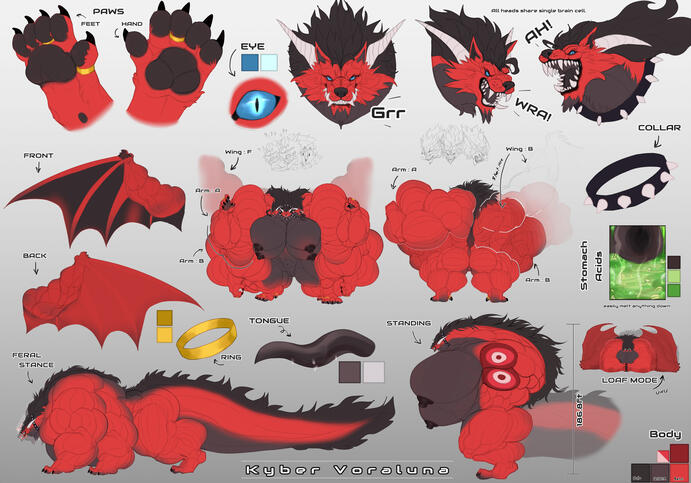 Ref-sheet : Kyber :: Mega Hyper , Multi Chest , Feral , Flat